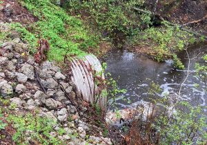 Outfall field assessments throughout the Croatan National Forest